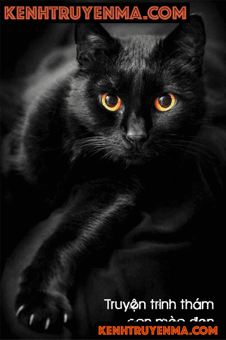 Nghe truyện Con mèo đen - truyện trinh thám